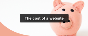 The Cost of a Website